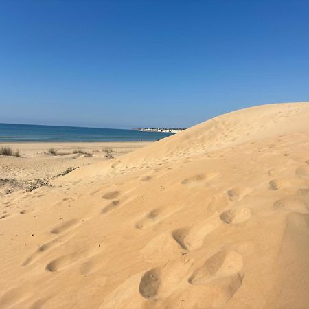 Ificumori, Campagna Ammare Villa Marina di Modica Ngoại thất bức ảnh