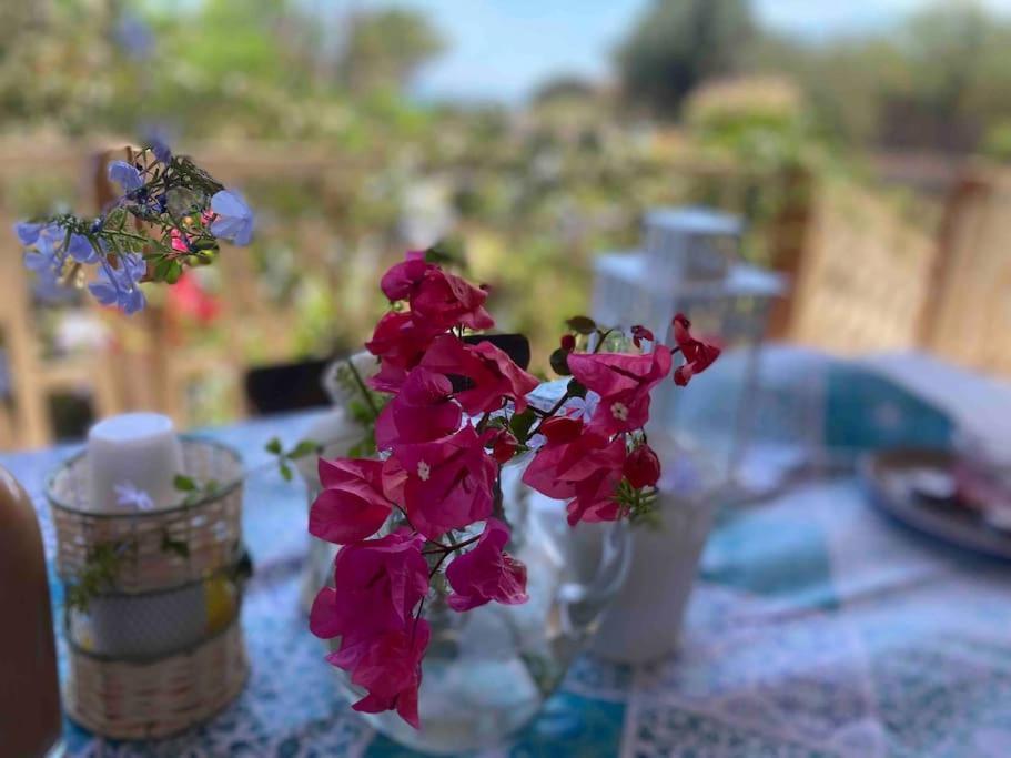 Ificumori, Campagna Ammare Villa Marina di Modica Ngoại thất bức ảnh
