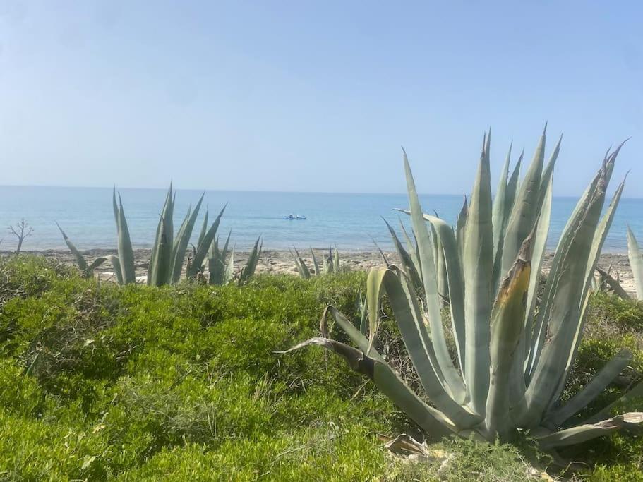 Ificumori, Campagna Ammare Villa Marina di Modica Ngoại thất bức ảnh