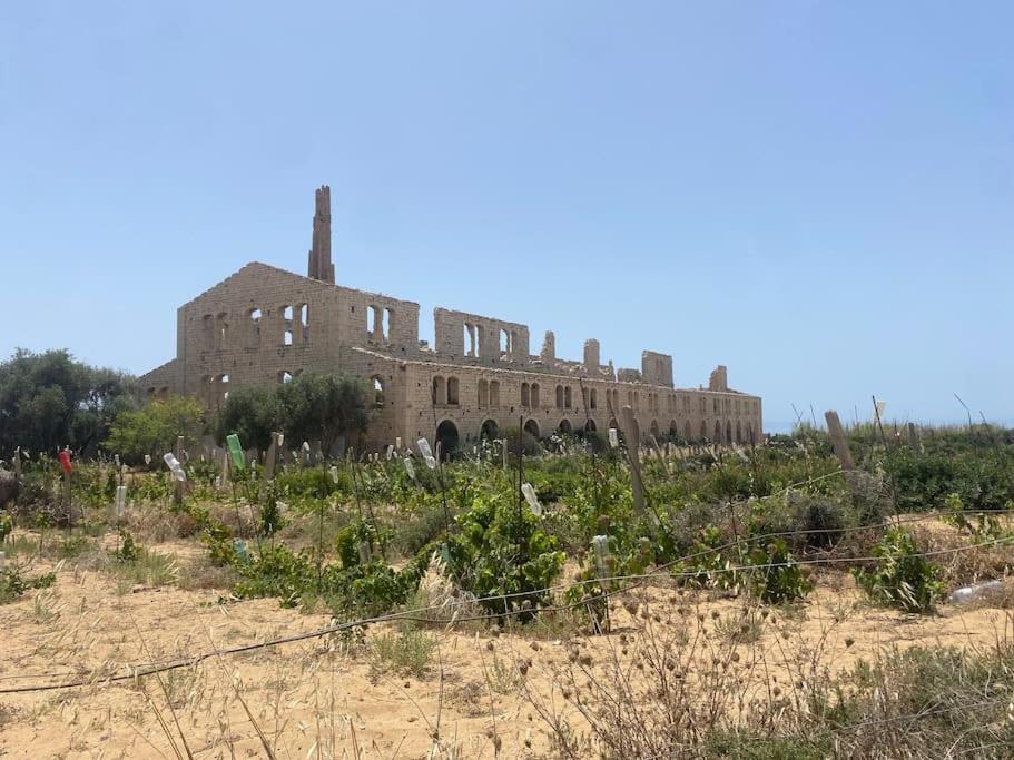 Ificumori, Campagna Ammare Villa Marina di Modica Ngoại thất bức ảnh